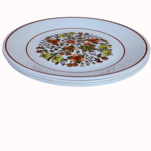 Corelle Indian Summer Dinner Plates Set of 4 VTG Retro Kitchen Table 8.5 Inch - Picture 6 of 11